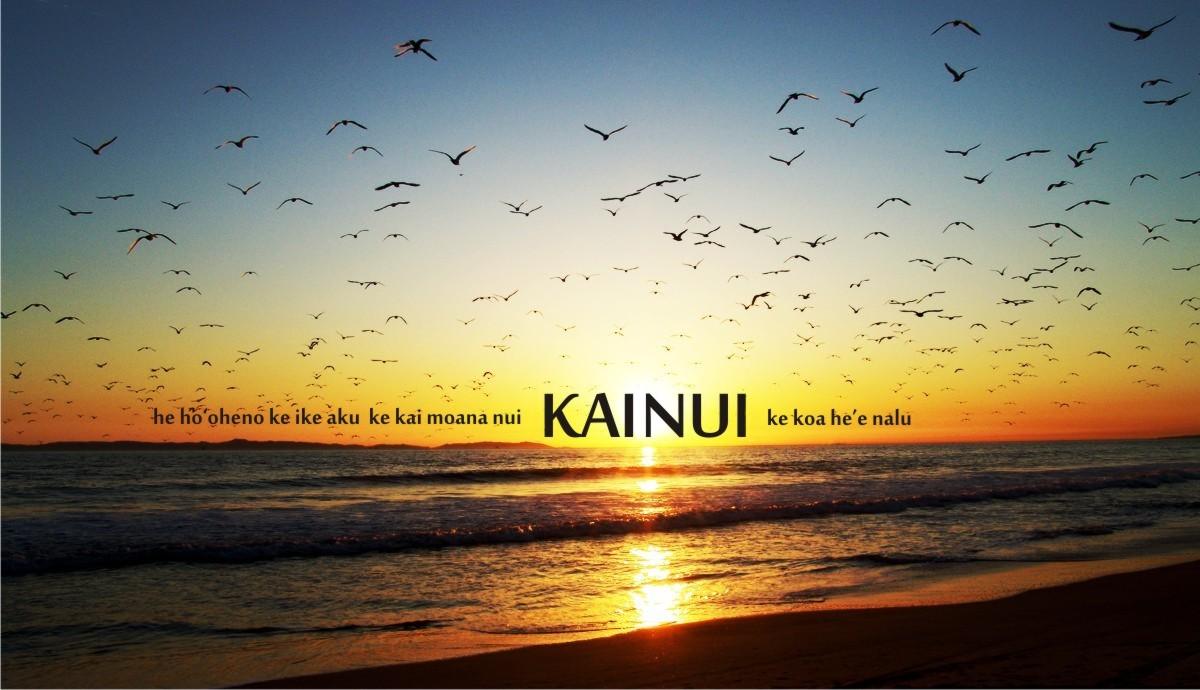 Welcome to the web pages of Kainui